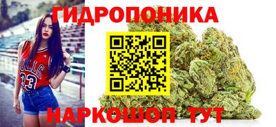 прущие крисы Тверь