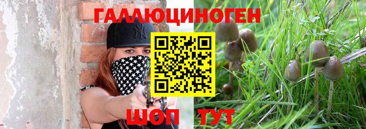Псилоцибиновые грибы мухоморы Орехово-Зуево